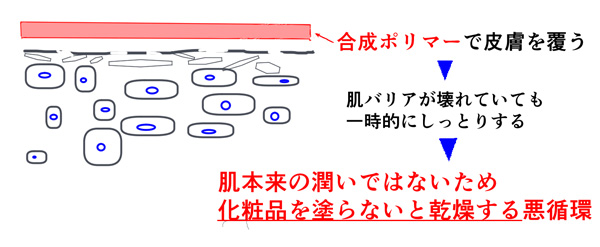 合成ポリマーの肌への影響の説明画像