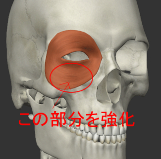 下まぶたのたるみ改善トレーニング説明画像