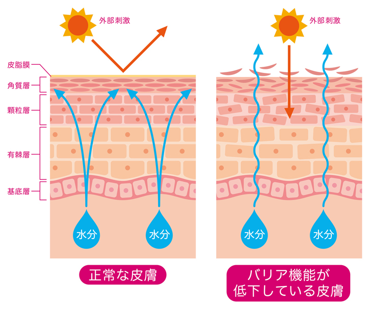 顔がヒリヒリする原因の画像